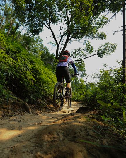 home-mountain-biking