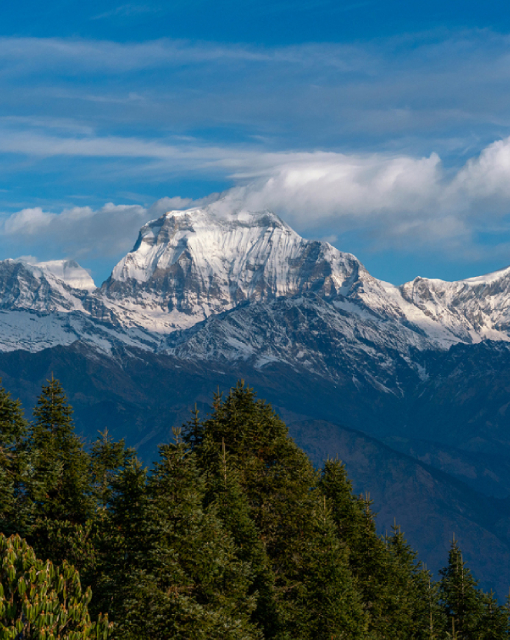 Ghorepani – Poon Hill Trek