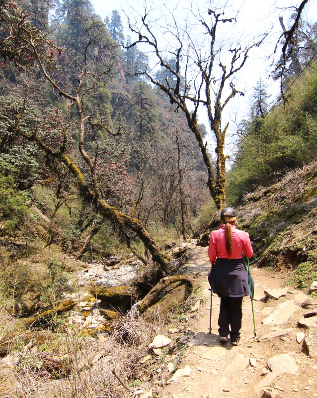 Chepang Hill Trek