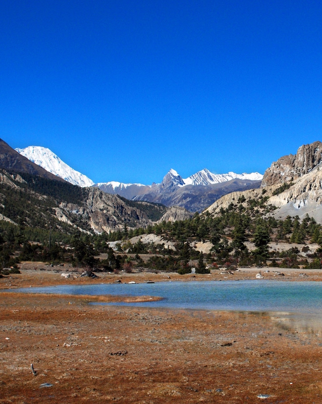 Khopra Danda Trek