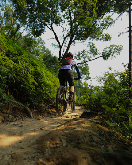 home-mountain-biking