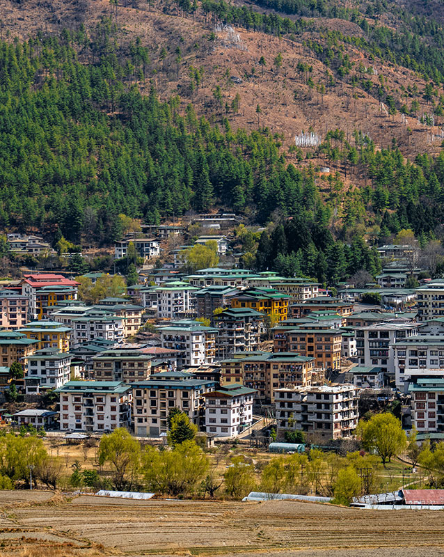 Thimphu – Gangtey – Punakha – Paro