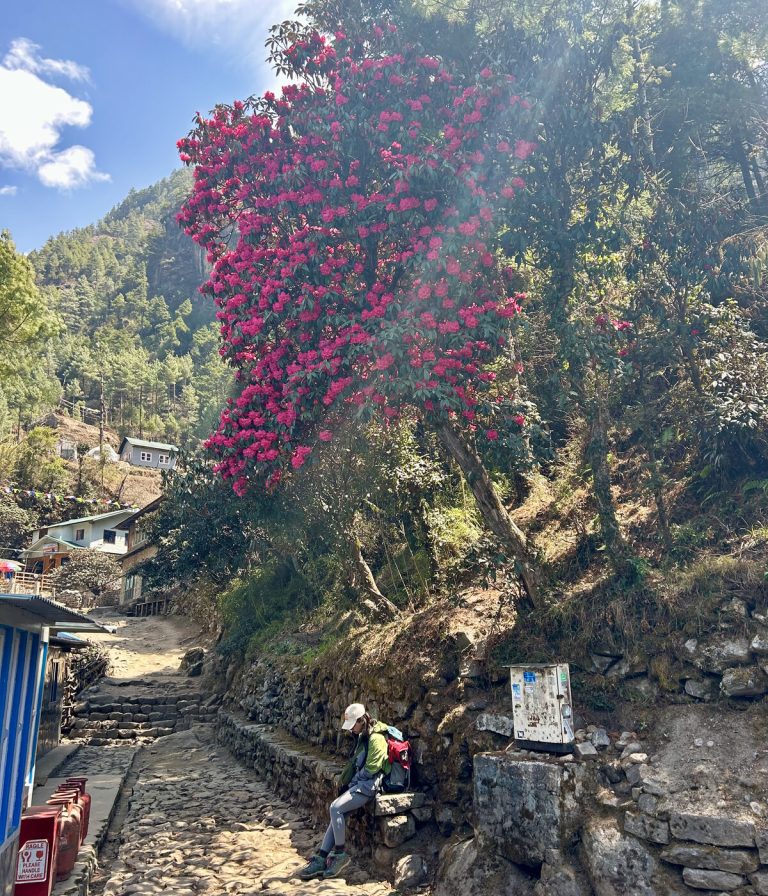Annapurna Base Camp Trek (Short)