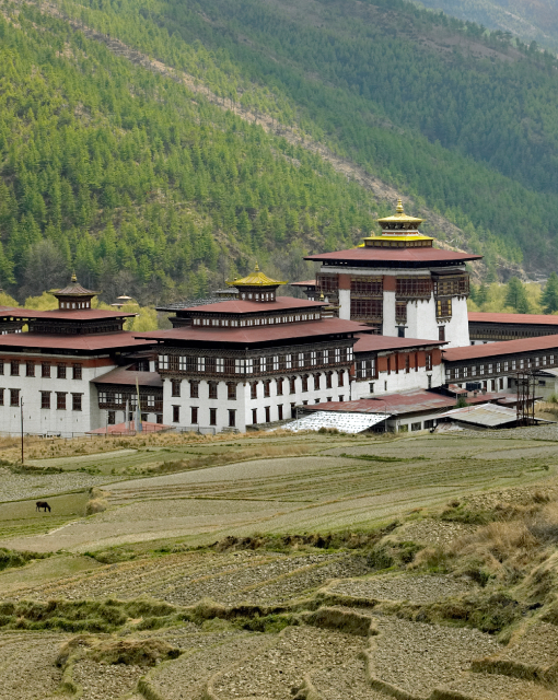 Bhutan: Western Highlights