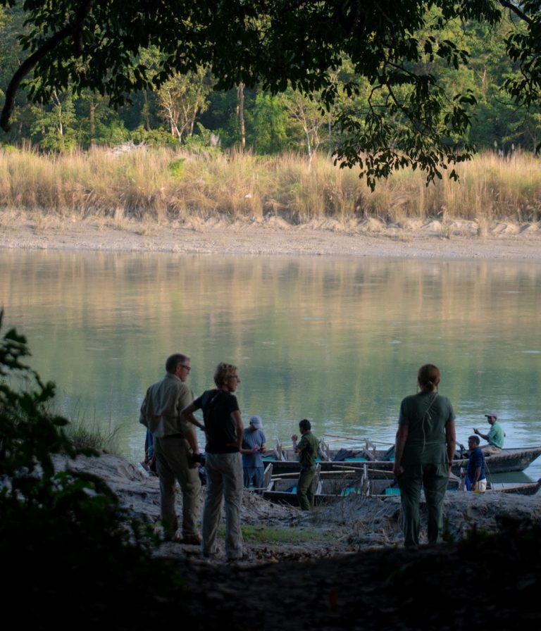 Chitwan National Park Wildlife Safari