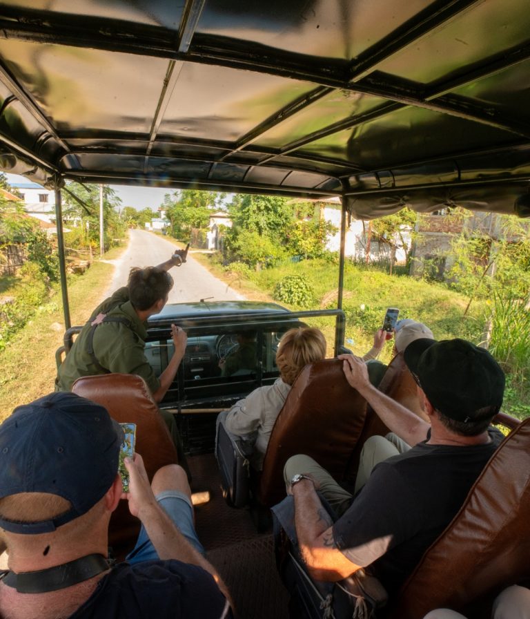 Chitwan National Park Wildlife Safari